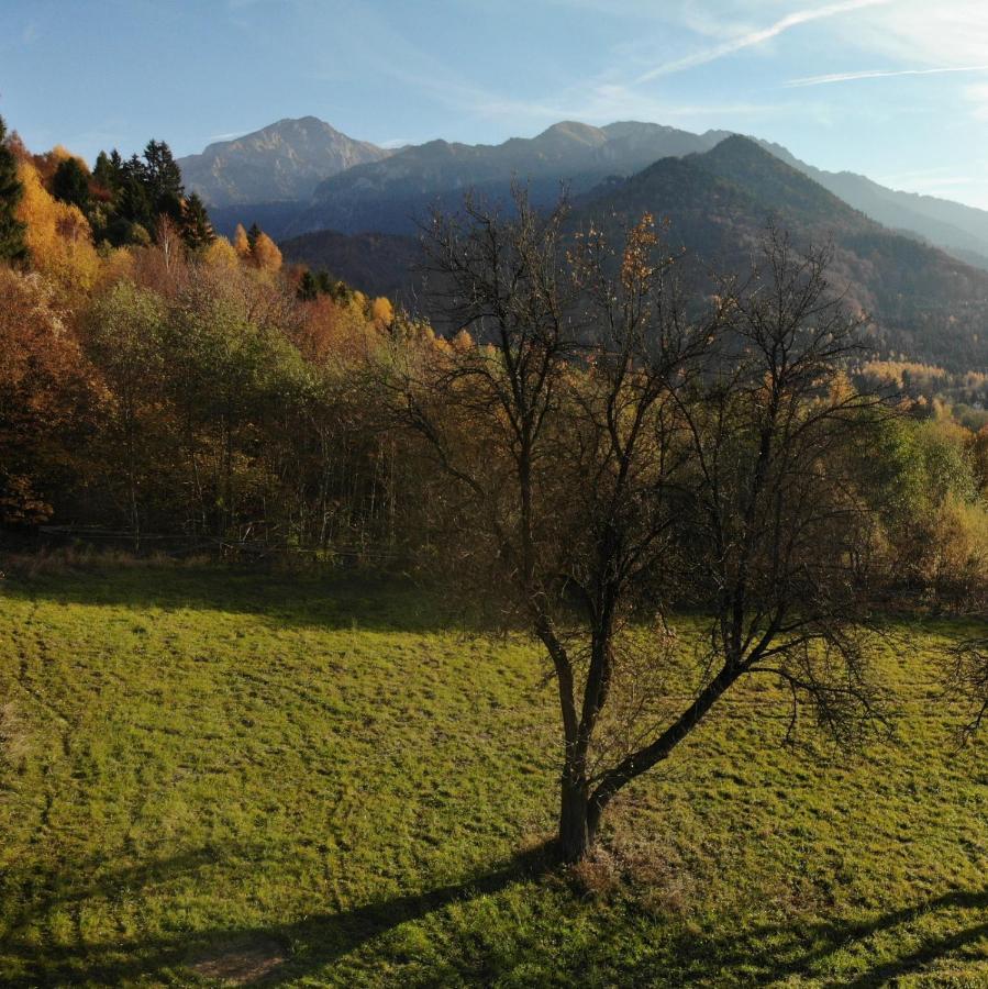 Cabana vânătorului Rîşnov Exterior foto