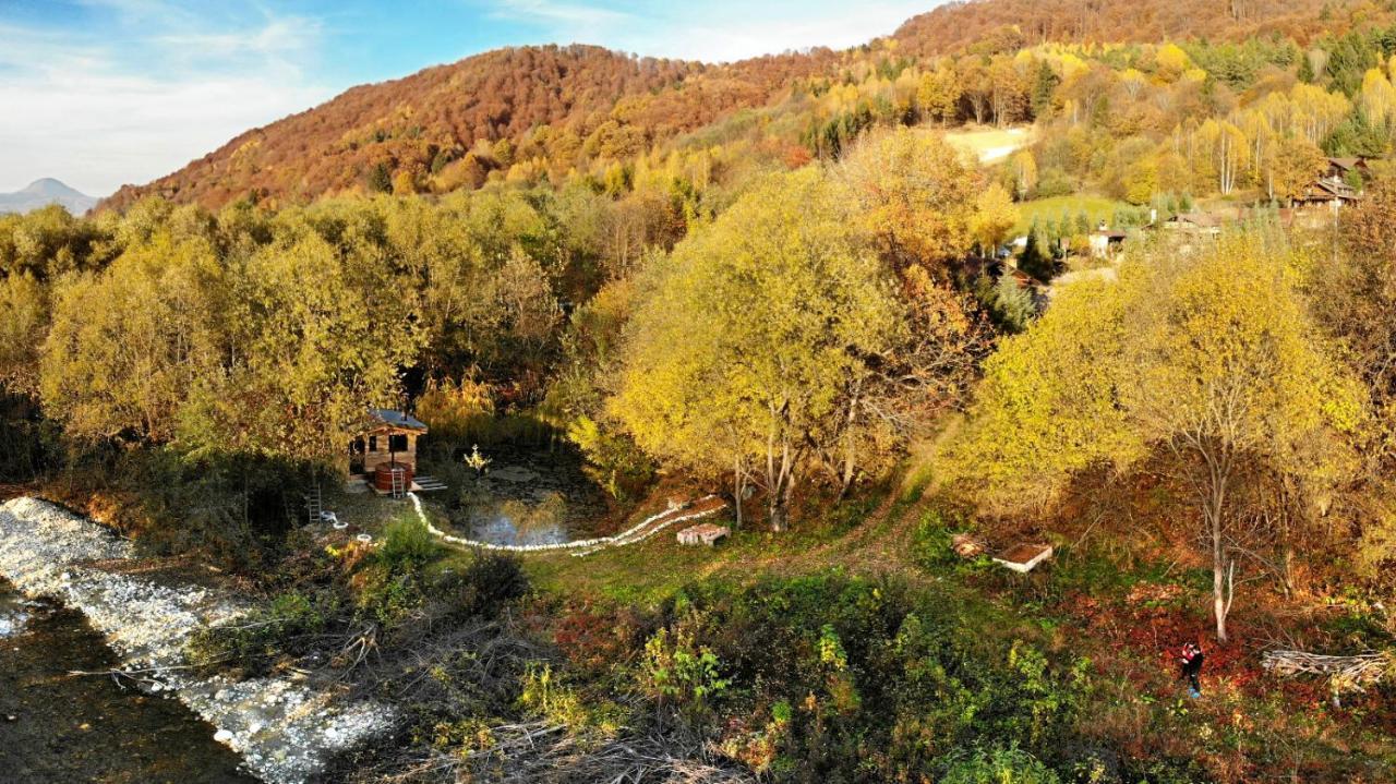 Cabana vânătorului Rîşnov Exterior foto