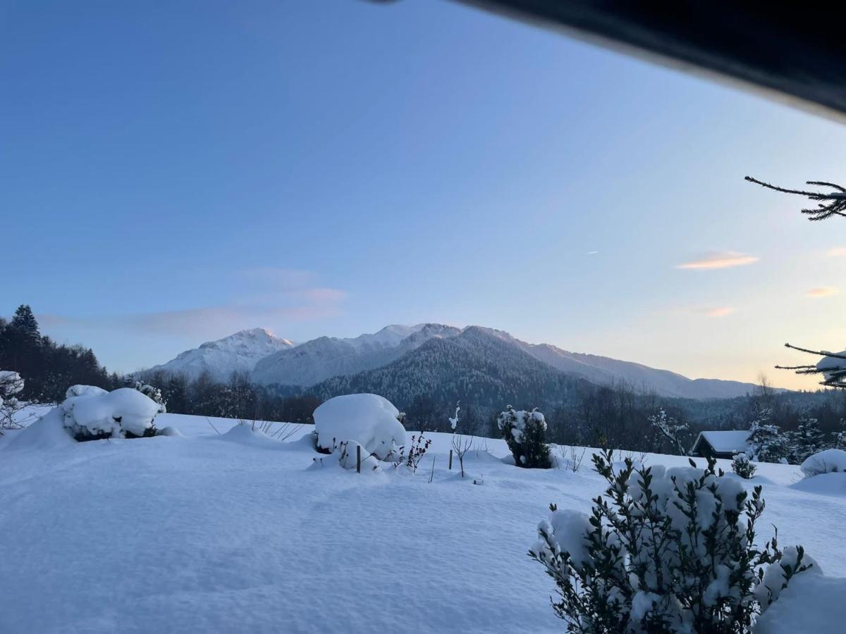 Cabana vânătorului Rîşnov Exterior foto