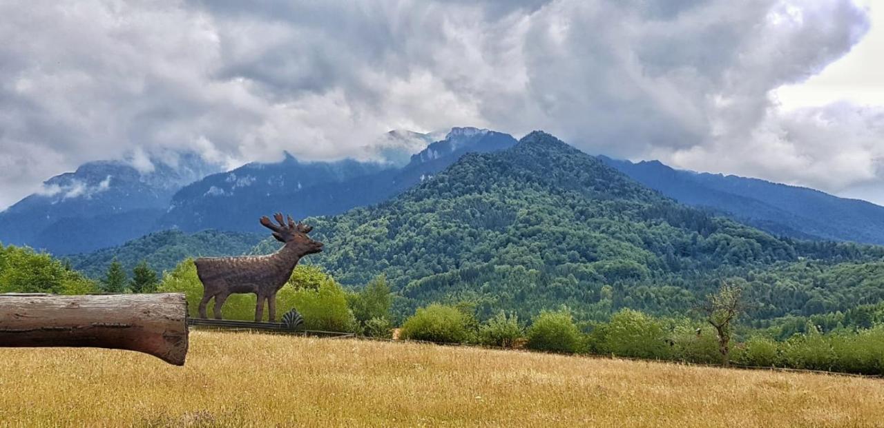 Cabana vânătorului Rîşnov Exterior foto