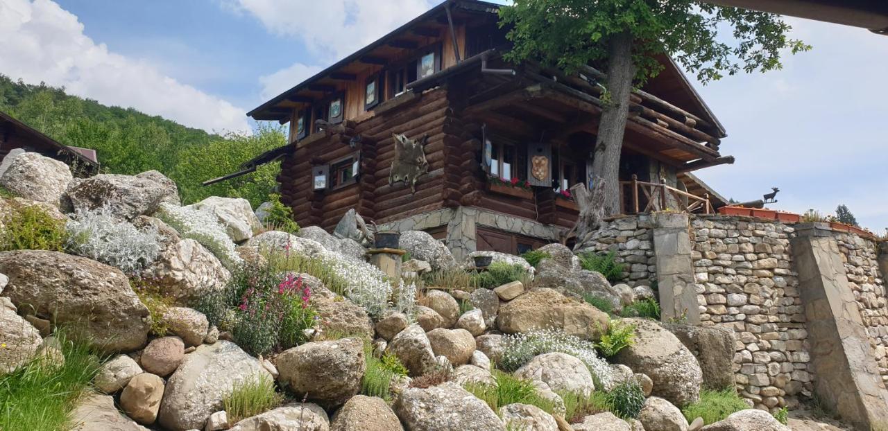 Cabana vânătorului Rîşnov Exterior foto